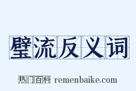 璧流反义词是什么意思的图片